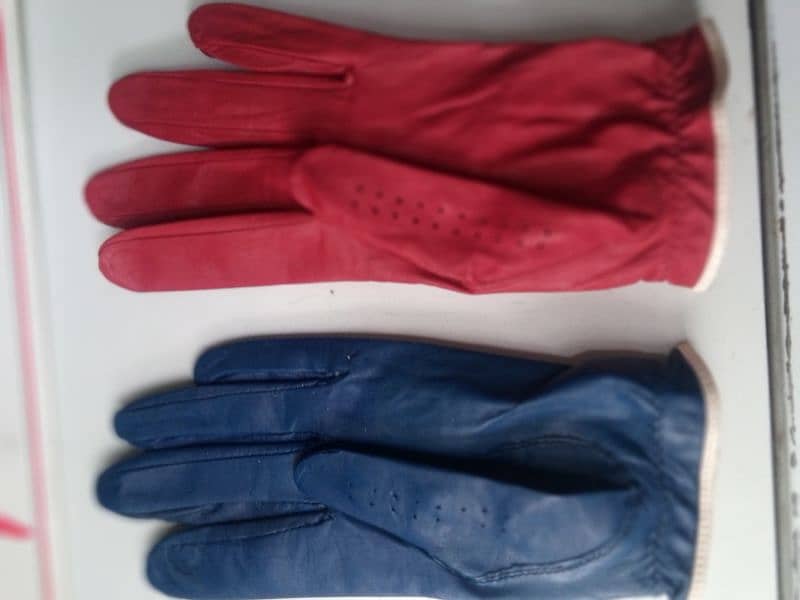 Golf Gloves 2