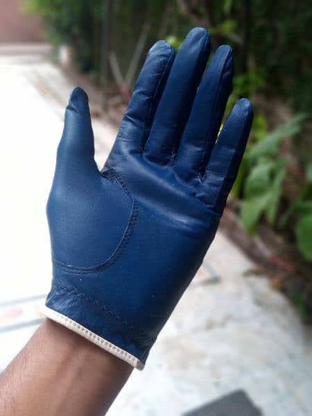 Golf Gloves 4
