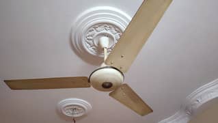 Pak ceiling fan 56 inch 0