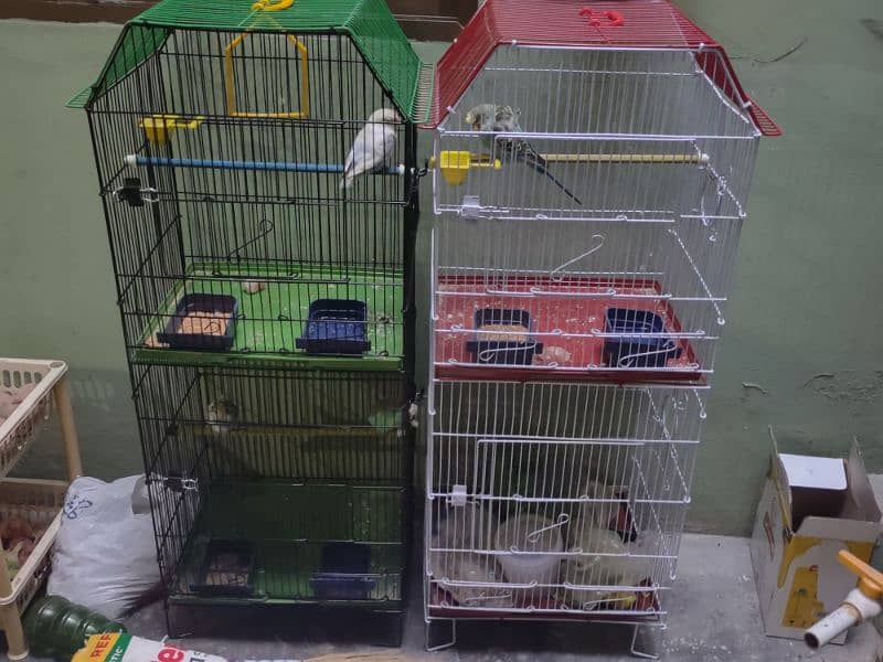 PESTEL LOVEBIRD AND. CAGES FOR SALE 2