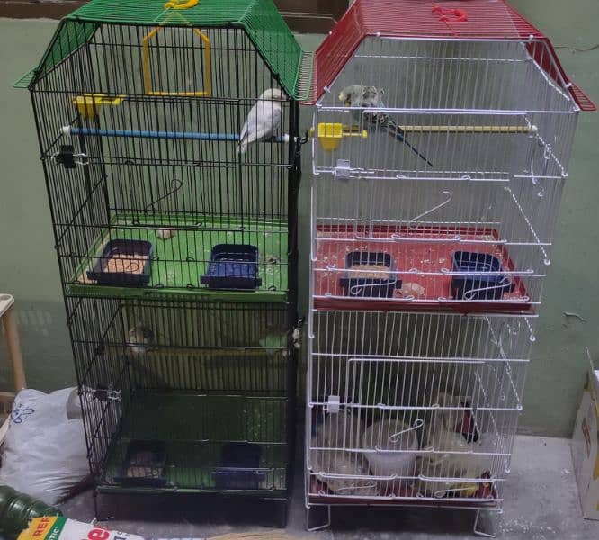 PESTEL LOVEBIRD AND. CAGES FOR SALE 3