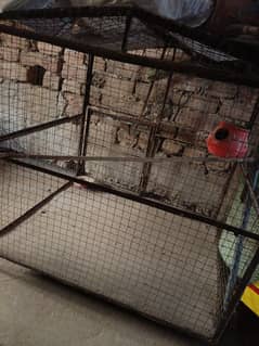 Birds Iron Cage for sale