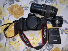 Canon 60D with 18:135mm + 50mm prime lenz 03211843065