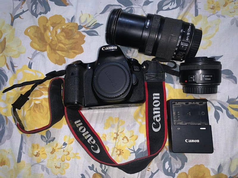 Canon 60D with 18:135mm + 50mm prime lenz 03211843065 0