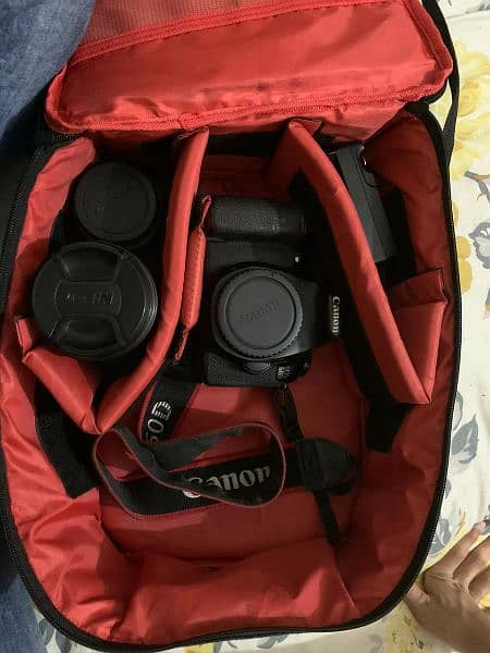 Canon 60D with 18:135mm + 50mm prime lenz 03211843065 5