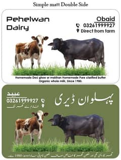 Fresh Buffalo Milk / Fresh Cow Milk
