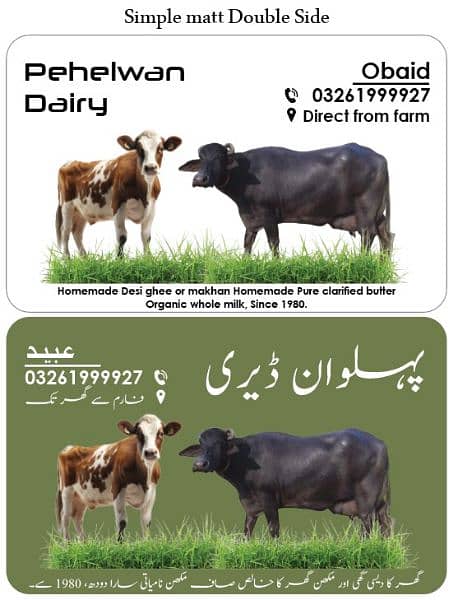 Fresh Buffalo Milk / Fresh Cow Milk 0