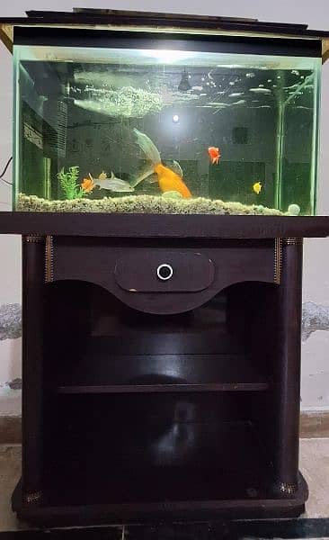 Fish Aquarium with Fishes 0