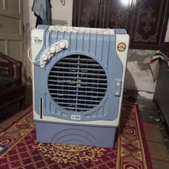 air cooler best conditions