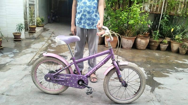 Japanese Bicycle 0