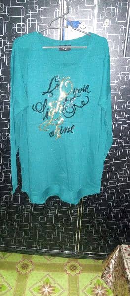 ladies shirts and tops 10