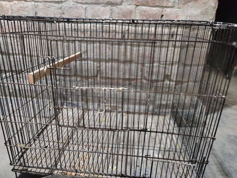 2ft. /1.5ft. /1.5ft. Wire Cage for Sale (Top Quality) 3