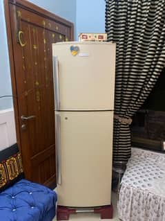Refrigerator 10/10 stabilizer and stand free
