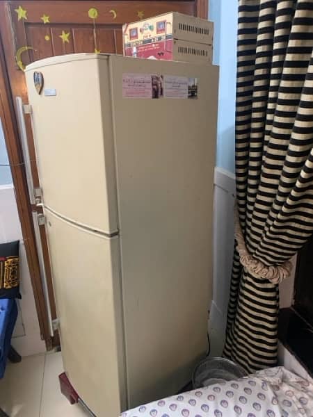 Refrigerator 10/10 stabilizer and stand free 1