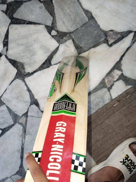 cricket bat hard ball 1