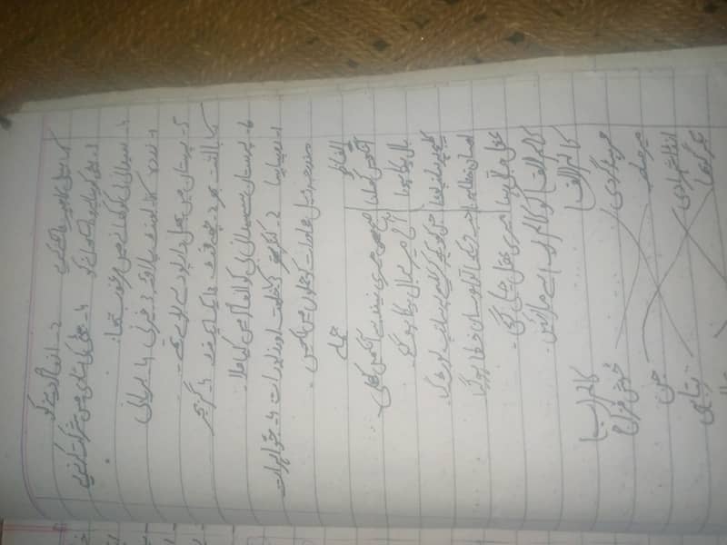 Handwritings Assainmint work 15