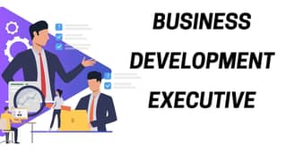 Business Development Excecutive 0