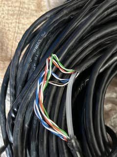 Cat 6 Cable 0