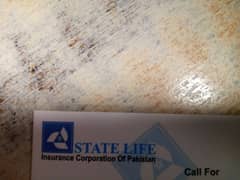 Job In state Life Insurance Company