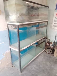 Fish glass equirium full set