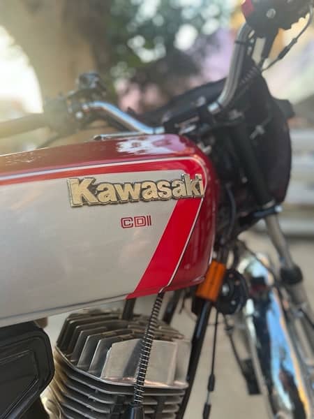 Kawasaki GTO 125 12