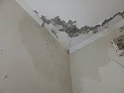 Roof And Bathroom Leakage Seepage Roof Heatproofing 2