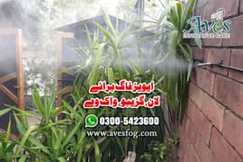 fog cooling/spray system/Mist in Pakistan/lawn/Garden cooling