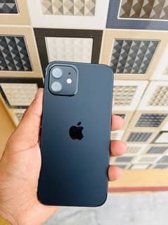 iphone 12 pta approved