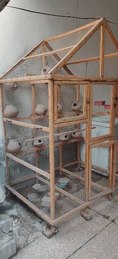 American parrots cage (khudda) for sale