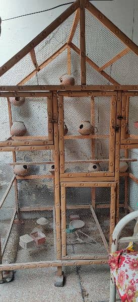 American parrots cage (khudda) for sale 2