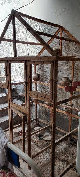 American parrots cage (khudda) for sale 4