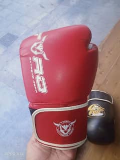 Boxing gloves for sale in Lahore