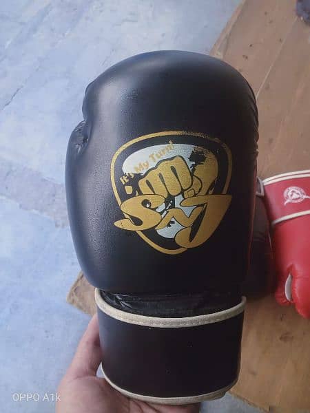 Boxing gloves for sale in Lahore 1