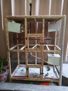 cage with sparrows