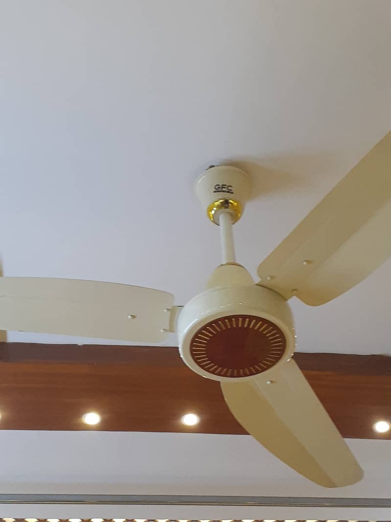 5 GFC Ceiling Fan 3