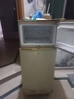 Pel Small fridge