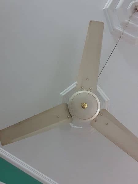 4 ceiling fans 1