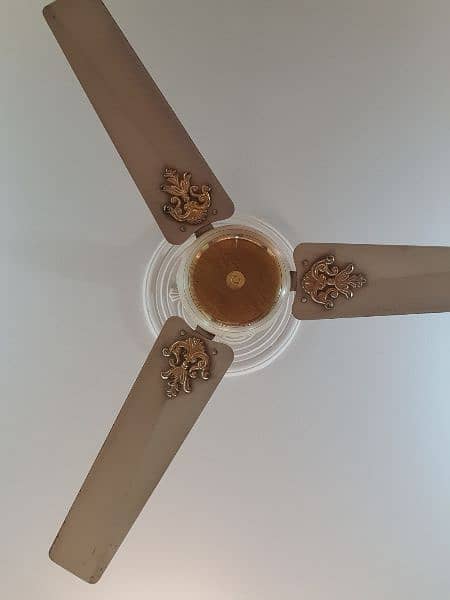 4 ceiling fans 2