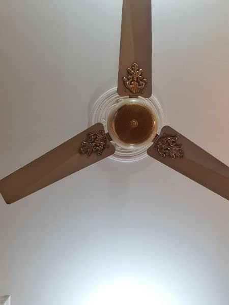 4 ceiling fans 3