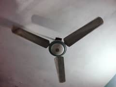 Ceiling fanGood and running condition urgent sell
