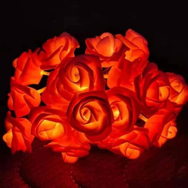 Rose Flower String Light|Wall Light For Home Decor In Multicolour . 9