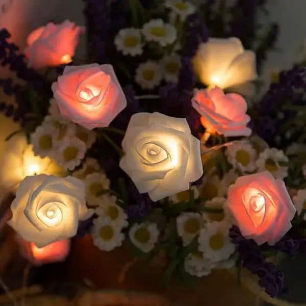 Rose Flower String Light|Wall Light For Home Decor In Multicolour . 15