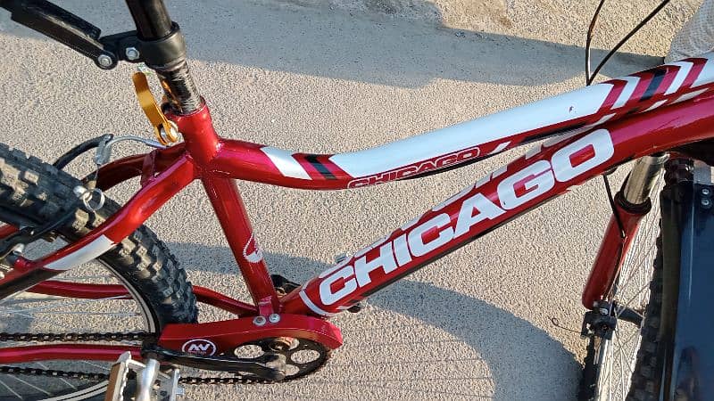 Chicago cycle 13