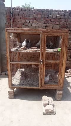 2 Portion Wood Cage For Sale