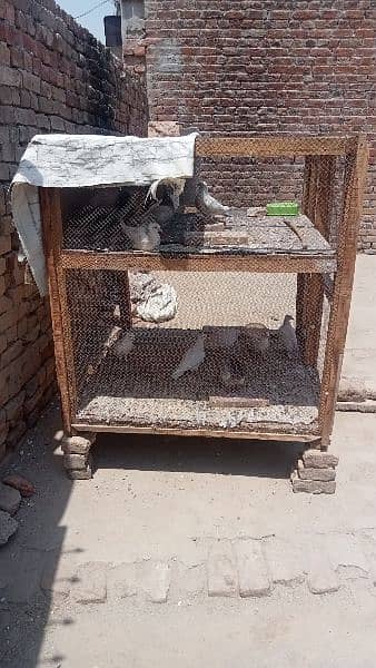 2 Portion Wood Cage For Sale 3