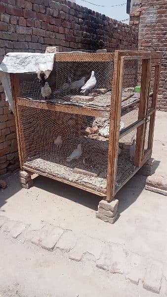 2 Portion Wood Cage For Sale 4