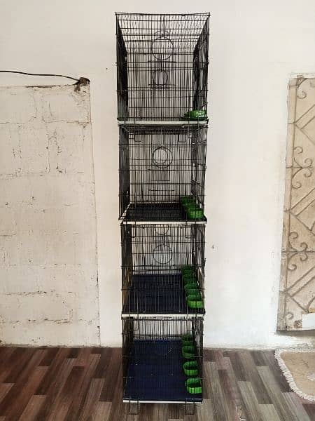 birds cages 2