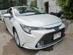 Toyota corolla hybrid 2020