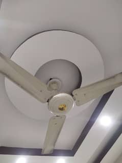 2 Fan 56 Size Pak / GFC 0