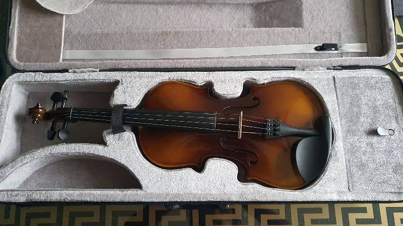 violin 5